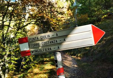 Trail On foot Mandello del Lario - Sentiero delle Foppe - Photo