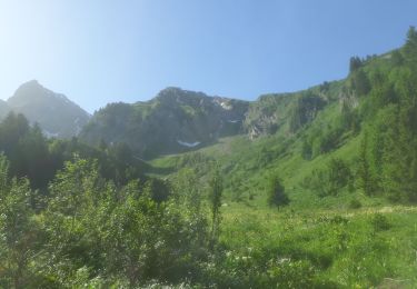 Tocht Stappen La Chapelle-d'Abondance - mont Pertuis - Photo