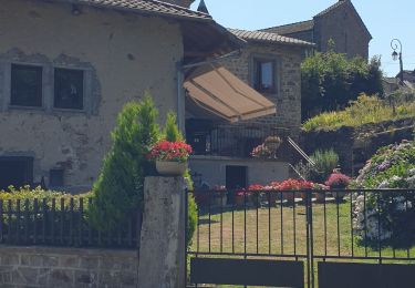 Randonnée Marche Chiroubles - circuit des crêtes du fût d'Avenas - Photo