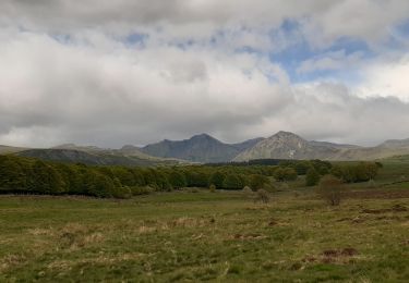 Trail Walking Picherande - La fontaine salée  - Photo