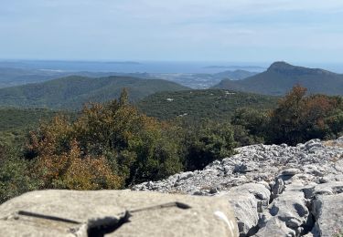 Trail sport Signes - Sioux blanc aven du châtaignier  - Photo