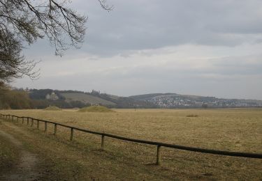 Trail On foot Sennfeld - Igel-Weg - Photo