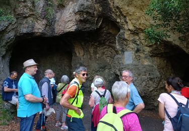 Trail Walking Jemeppe-sur-Sambre - ONOZ. Grotte de Spy - Photo
