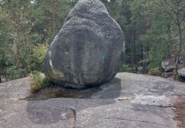 Tour Wandern Fontainebleau - franchard  - Photo