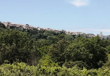 Tour Wandern Venasque - venasque cerise - Photo