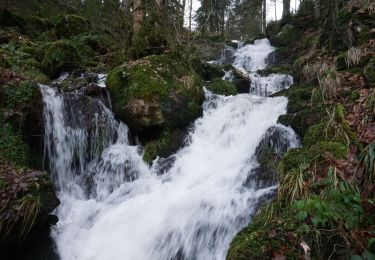 Percorso Marcia Neuviller-la-Roche - Neuviller La Roche Cascade de la Serva - Photo