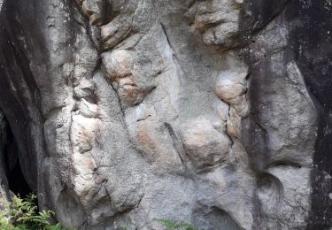 Tour Wandern Fontainebleau - carre epine Gi.Ja. Mi - Photo