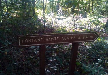 Excursión Senderismo Besançon - Forêt de Chailluz - Photo