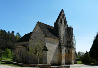Randonnée A pied Sainte-Nathalène - Sentier du Manoir d'Eyrignac - Photo