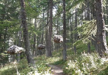 Tour Wandern Crévoux - la cascade de Razis - Photo