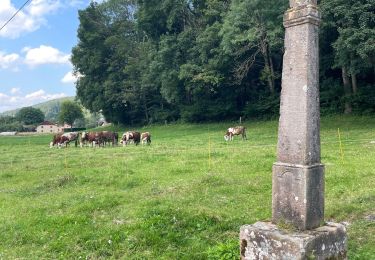 Tour Wandern Rehaupal - Le trou de l’enfer  - Photo