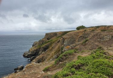 Tocht Stappen Locmaria - port coter pointe Saint marc - Photo