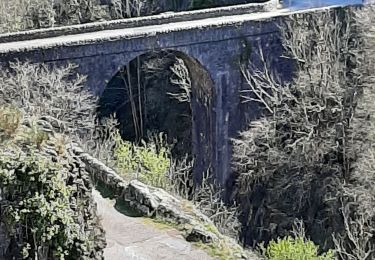 Tour Wandern Vallées-d'Antraigues-Asperjoc - Château de Craux par Genestelle,  - Photo