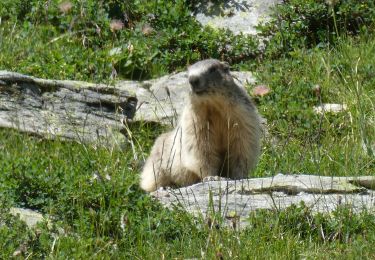 Tour Wandern Aussois - 2024 les refuges  d'Aussois  - Photo