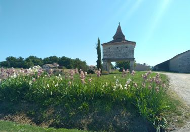 Randonnée Vélo électrique Molières - Molières 11 05 2022 - Photo