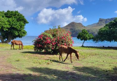 Tocht Stappen Nuku Hiva - baie Colette  - Photo