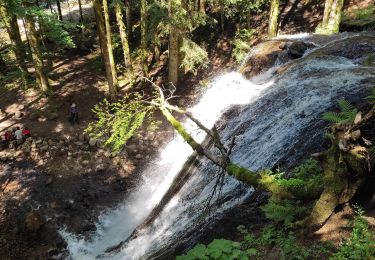 Trail Walking Mont-Dore - cascadeS ,saut du Loup - Photo