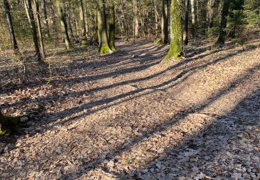 Trail Walking Sillingy - Âge tt à droite - Photo