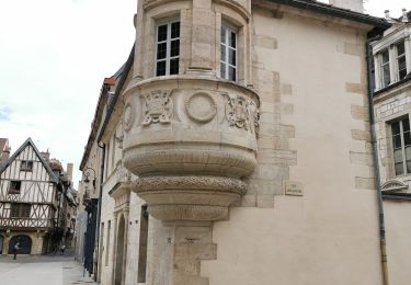 Tour Wandern Dijon - visite de Dijon - Photo