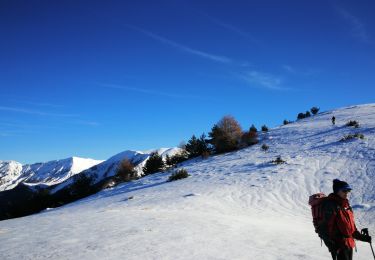 Tour Schneeschuhwandern Prads-Haute-Bléone - crête du carton - Photo