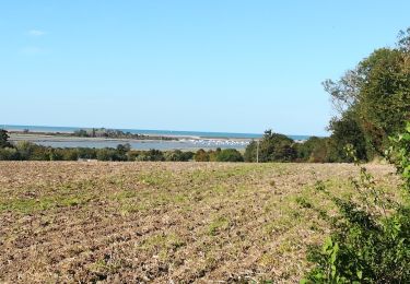 Trail Mountain bike Caen - boucle canal & campagne  - Photo