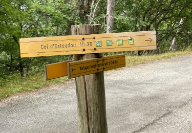 Trail Walking Saint-Lary-Soulan - malamete-lac-nere-hourquette-d'aubert-depuis-oredon - Photo