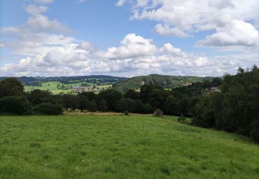 Randonnée Marche Stavelot - Promenade de l’écureuil - Photo