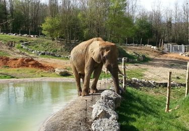 Randonnée Marche Saint-Aignan - Zoo de Beauval - 5.2km 60m 2h20 - 2017 04 01  - Photo