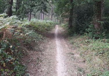 Trail Walking Andenne - Geron(Andenne) -   Surlemez(Couthuin) circuit - Photo