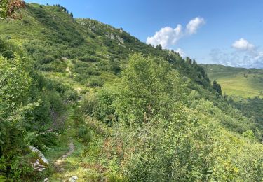 Trail Walking Hauteluce - Lac girotte  - Photo