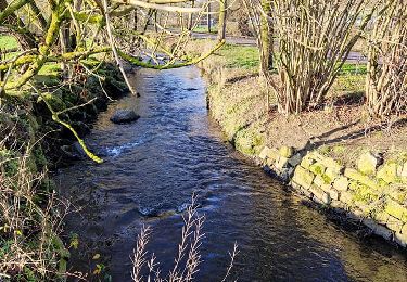 Randonnée Marche Olne - Balade de la Magne à Olno   - Photo