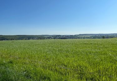 Tocht Stappen Libramont-Chevigny - Vesqueville - Photo