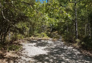 Randonnée Marche nordique Cabrières-d'Aigues - 23082020 - Photo