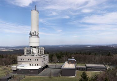 Tour Zu Fuß Martinlamitzer Forst Nord - Oberkotzau-Kornberg - Photo