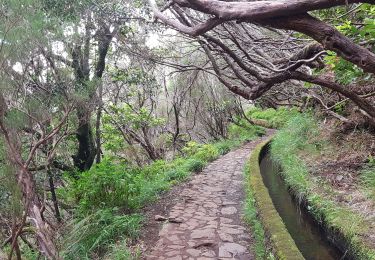 Trail Walking Arco da Calheta - Levada do 25 fontes - Photo