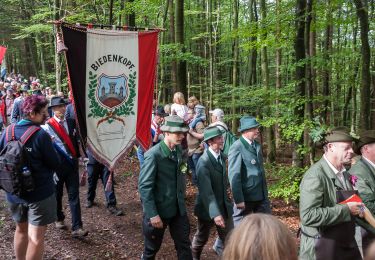 Tocht Te voet Biedenkopf - Rundwanderweg V - Photo