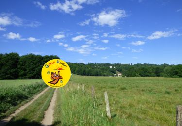 Trail Walking Jouarre - GP_ABBAYE-de-JOUARRE_20.7Km - Photo