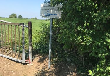 Tour Wandern Olne - Eglise st Adèle on - Photo