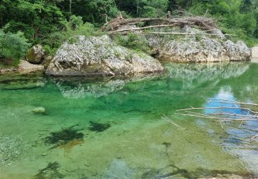 Randonnée A pied Salavas - Salavas, Vallon Pont D'Arc Les bords de l'IBIE - Photo