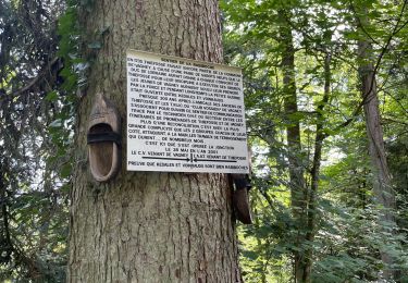 Tocht Stappen Thiéfosse - Gorges de crosery  - Photo