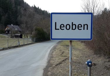 Percorso A piedi Leoben - Iron man trail - Photo