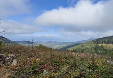 Randonnée Marche Le Bessat - Croix de Chaubouret - Crêt de Botte - Col de l'Oeuillon  - Photo