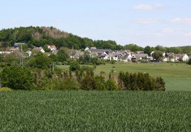 Randonnée A pied Ruppach-Goldhausen - Themenweg Ton blau - Photo