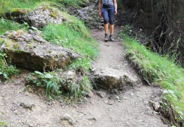 Excursión Senderismo Peisey-Nancroix - Lac de l'Etroit - Photo