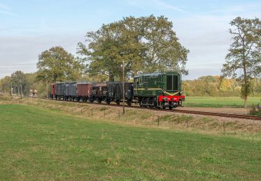 Tour Zu Fuß Enscheid - Wandelnetwerk Twente - paarse route - Photo