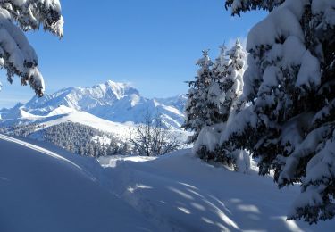 Tour Schneeschuhwandern Hauteluce - 2021-01-26 - Photo