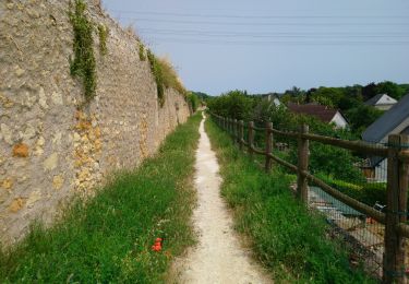 Trail Walking Vouvray - Vouvray - PR balisé en bleu - 15.1km 125m 3h30 - 2023 06 28 - Photo