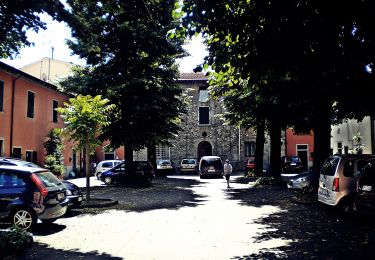 Tour Zu Fuß Prato - Sentiero CAI 22 - Sez. Prato - Photo