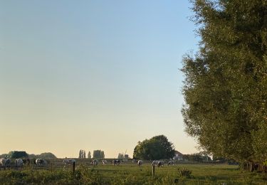 Tocht Stappen Anderlecht - Au travers dès Parc - Photo