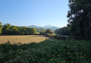 Trail Walking Calcatoggio - Plage de Stagnione  - Photo